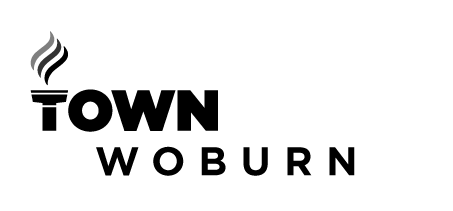 TownFlare-Logo-Woburn@2x